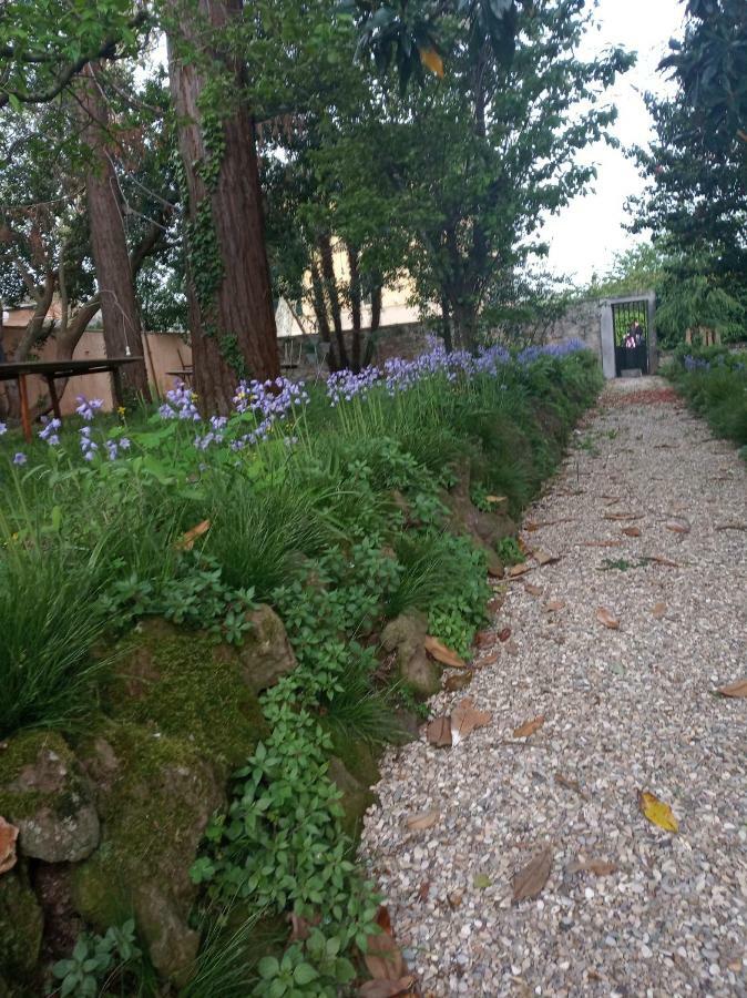 B&B Villa Gualterio Bolsena Zewnętrze zdjęcie